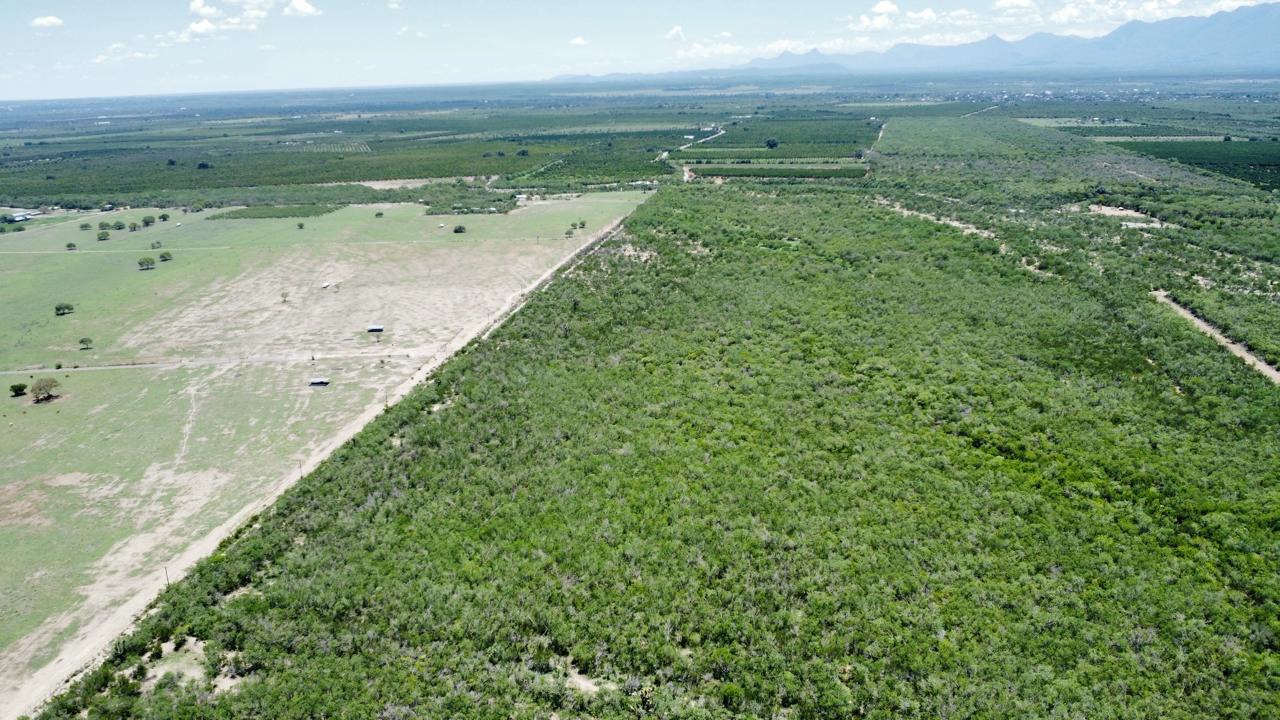 Rancho / Finca — foto 3