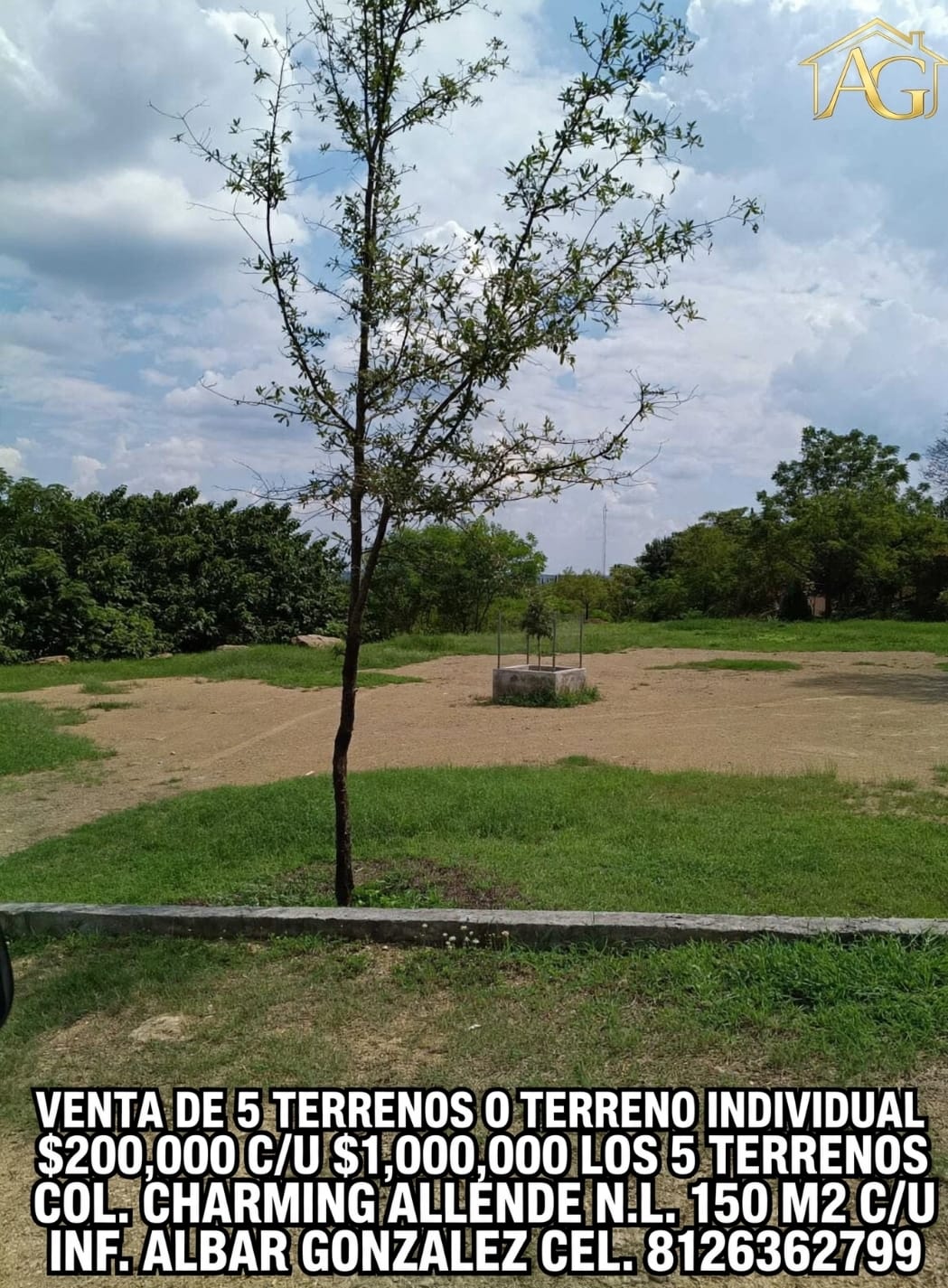 Terreno Cmpestre — foto 1