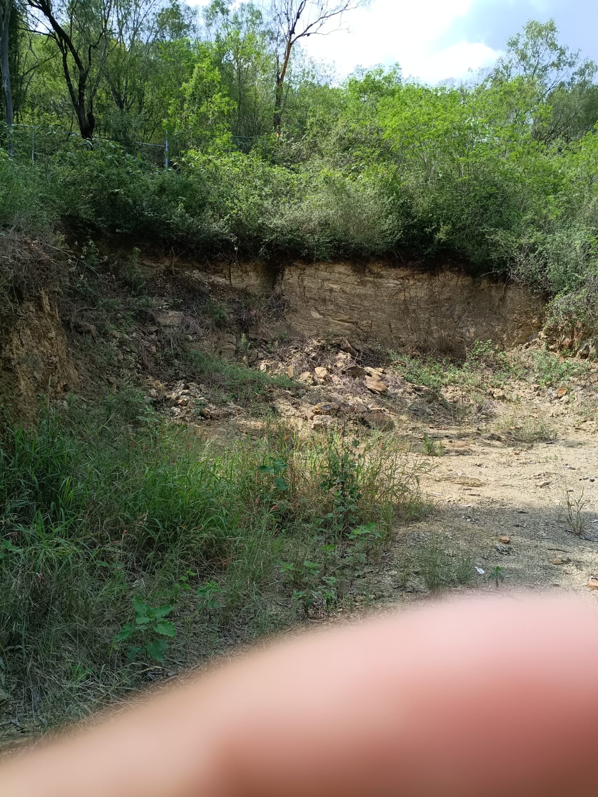 Terreno Cmpestre — foto 5