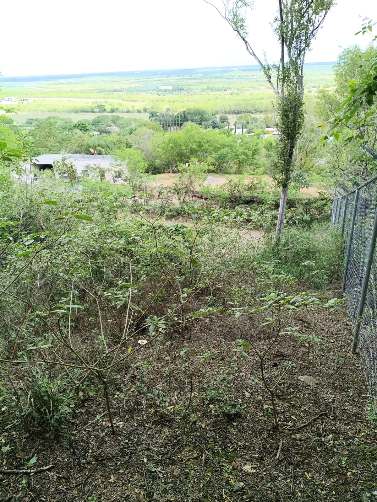 Terreno Cmpestre — foto 6
