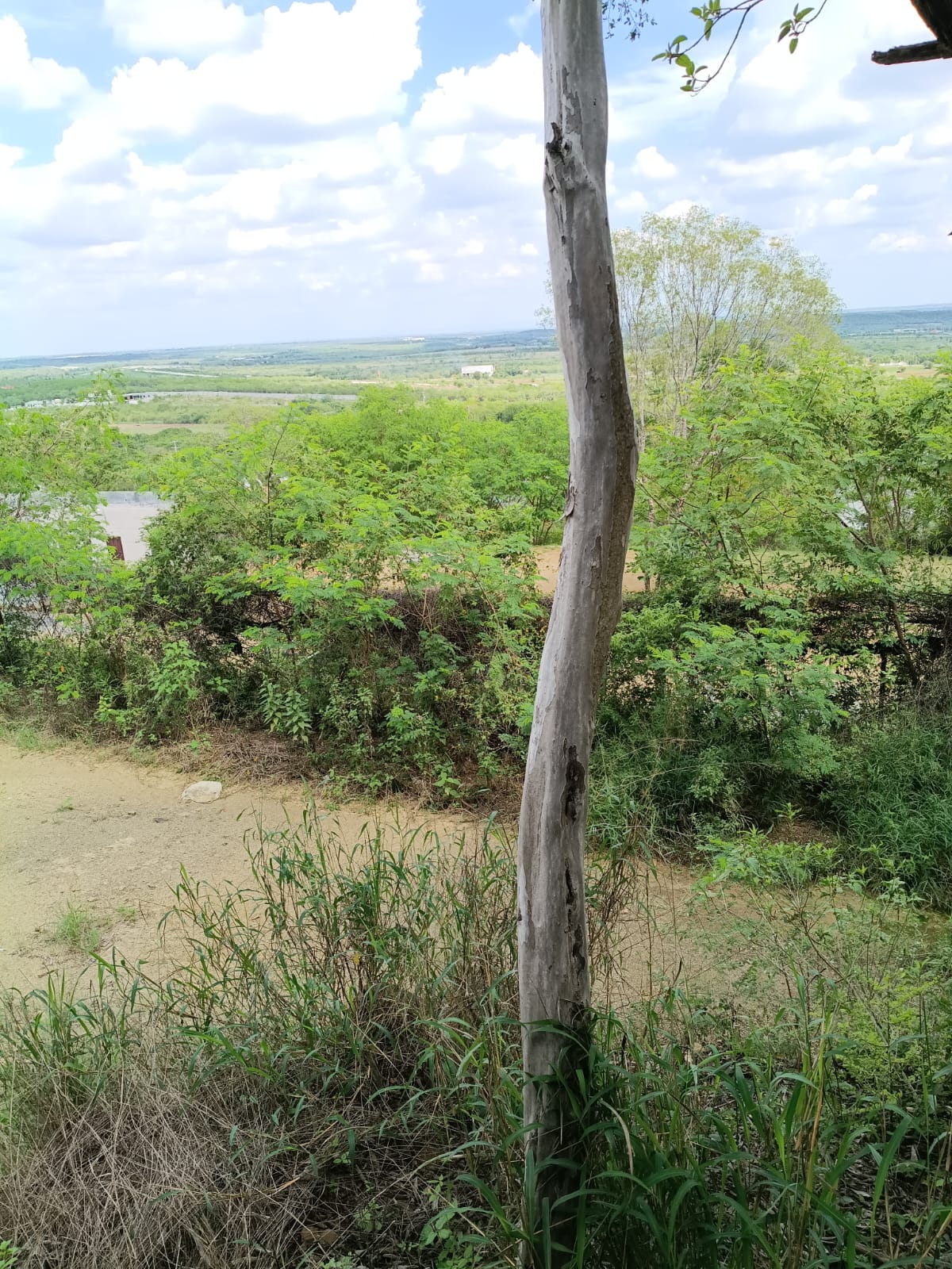 Terreno Cmpestre — foto 10