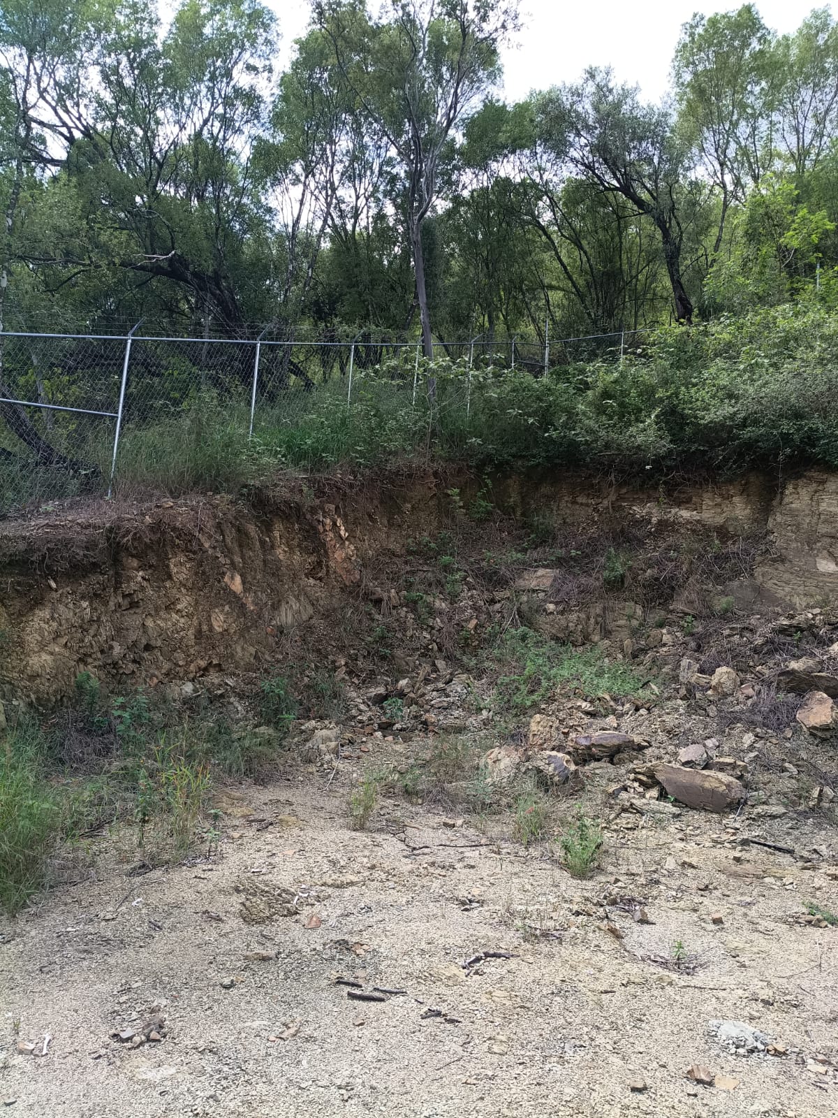 Terreno Cmpestre — foto 11