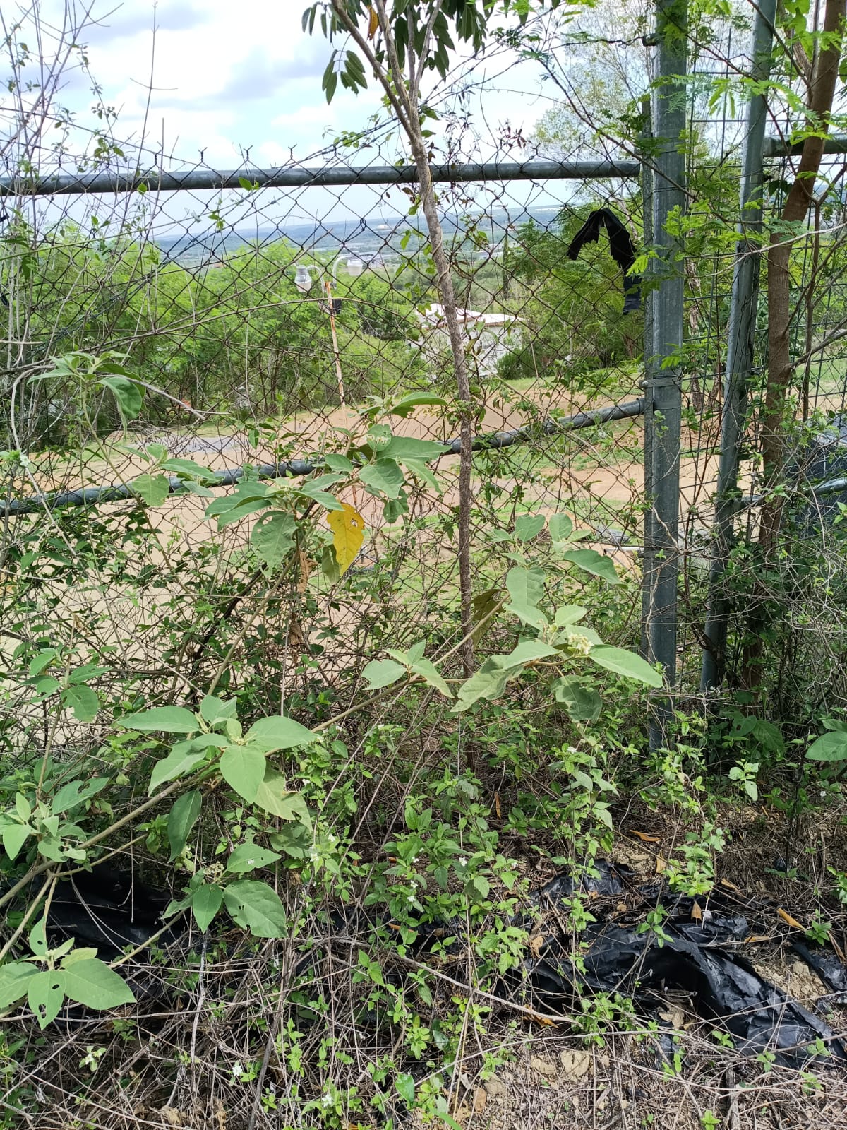 Terreno Cmpestre — foto 12