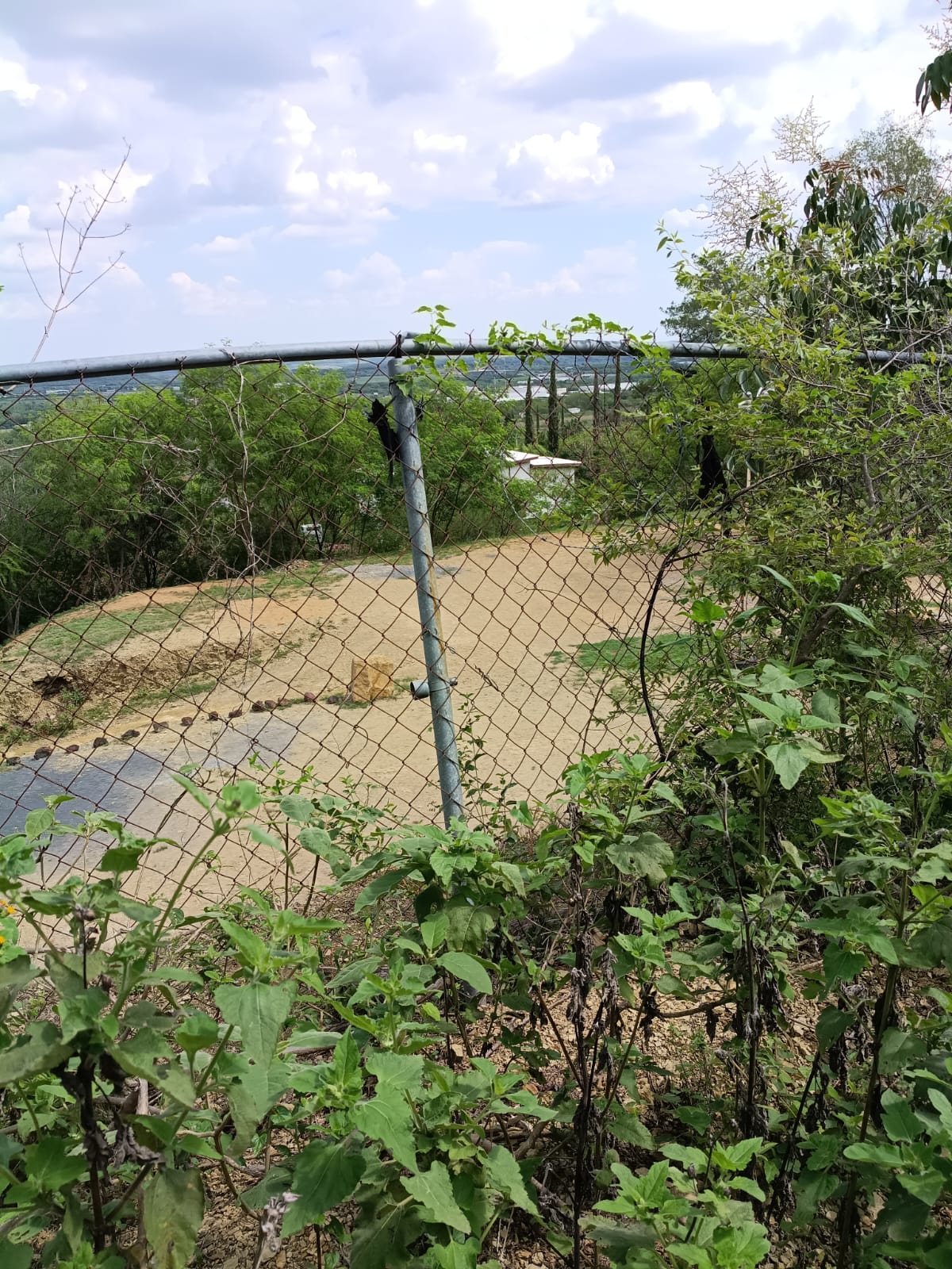 Terreno Cmpestre — foto 13