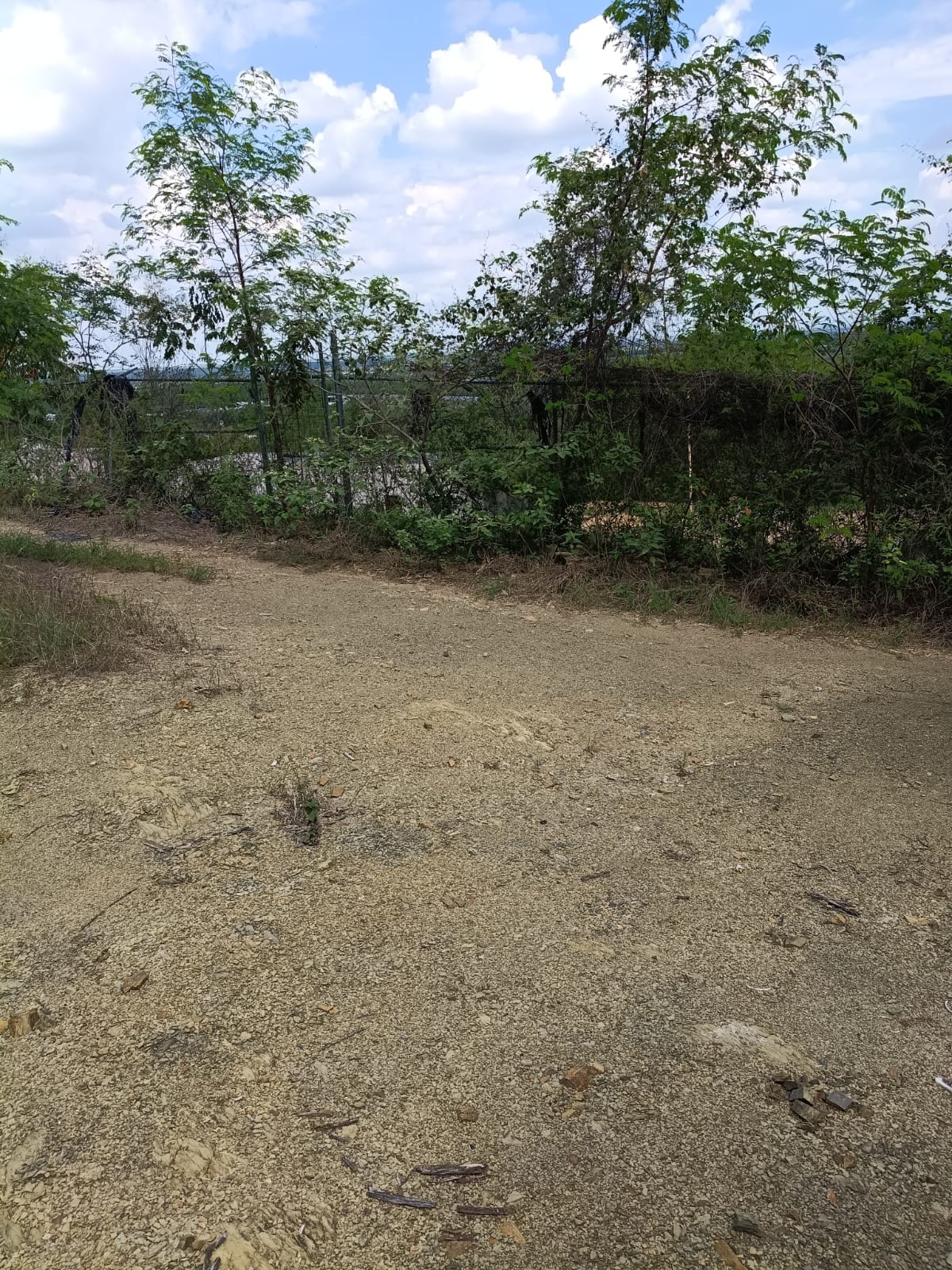Terreno Cmpestre — foto 14